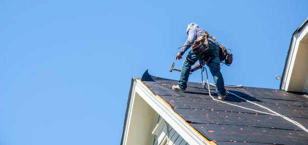 Best Roof Gutter Cleaning  in Little Falls, NY